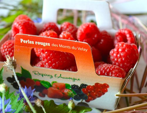 Les bonnes fraises et framboises de Velay Fruits Rouges