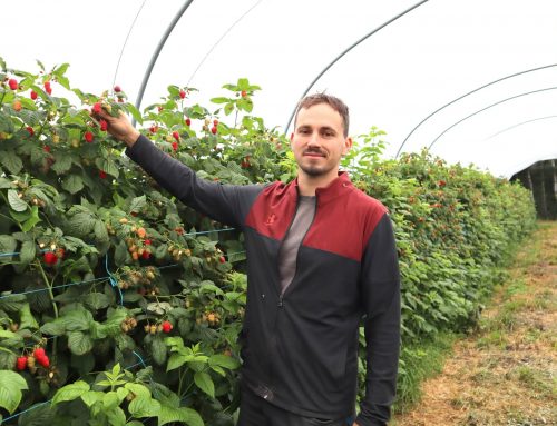 Emeric Duclaux se lance dans la production de fruits rouges