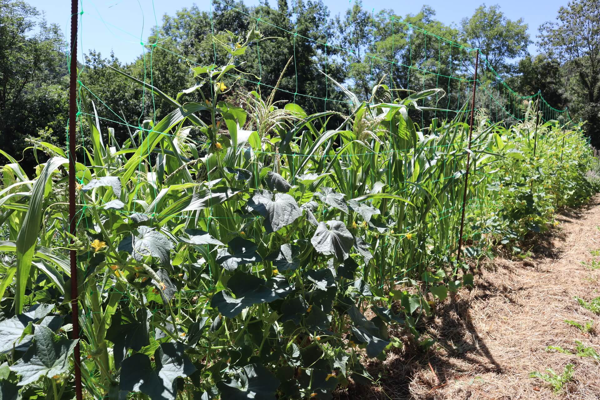 Ferme de Flaceleyre Vorey sur Arzon (6)