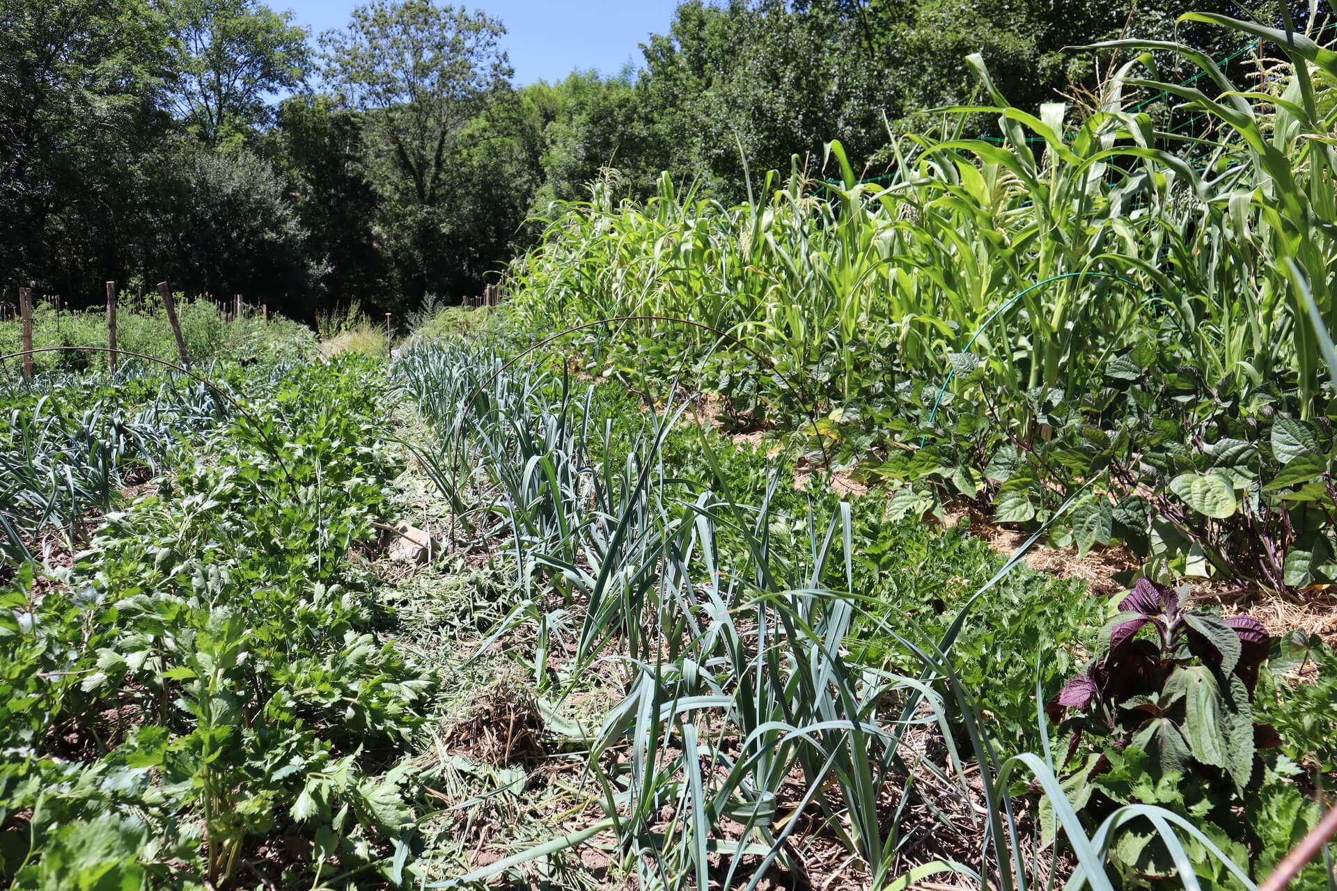 Ferme de Flaceleyre Vorey sur Arzon (7)