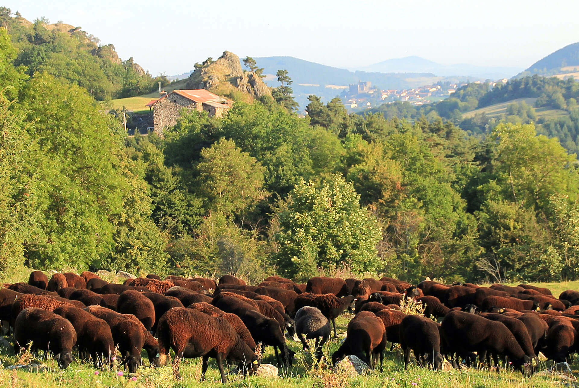 La Noire du Velay ©Didier Cathalan (1)