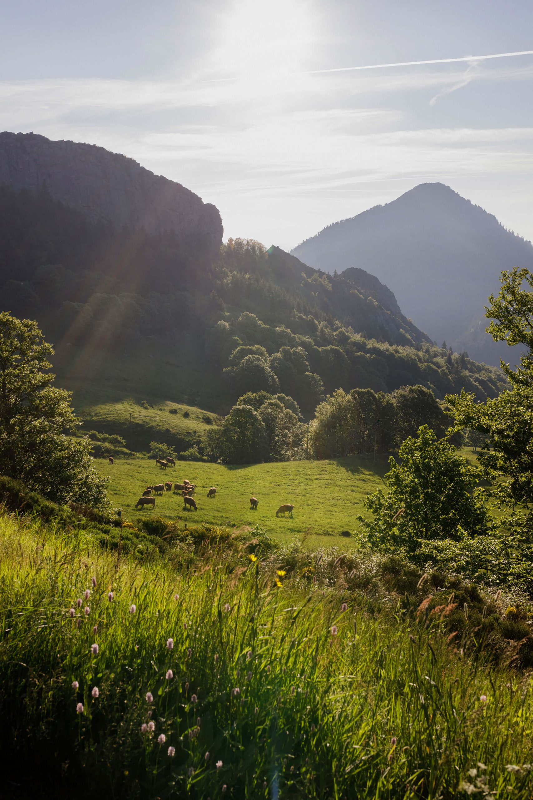 fin-gras-du-mezenc (1)