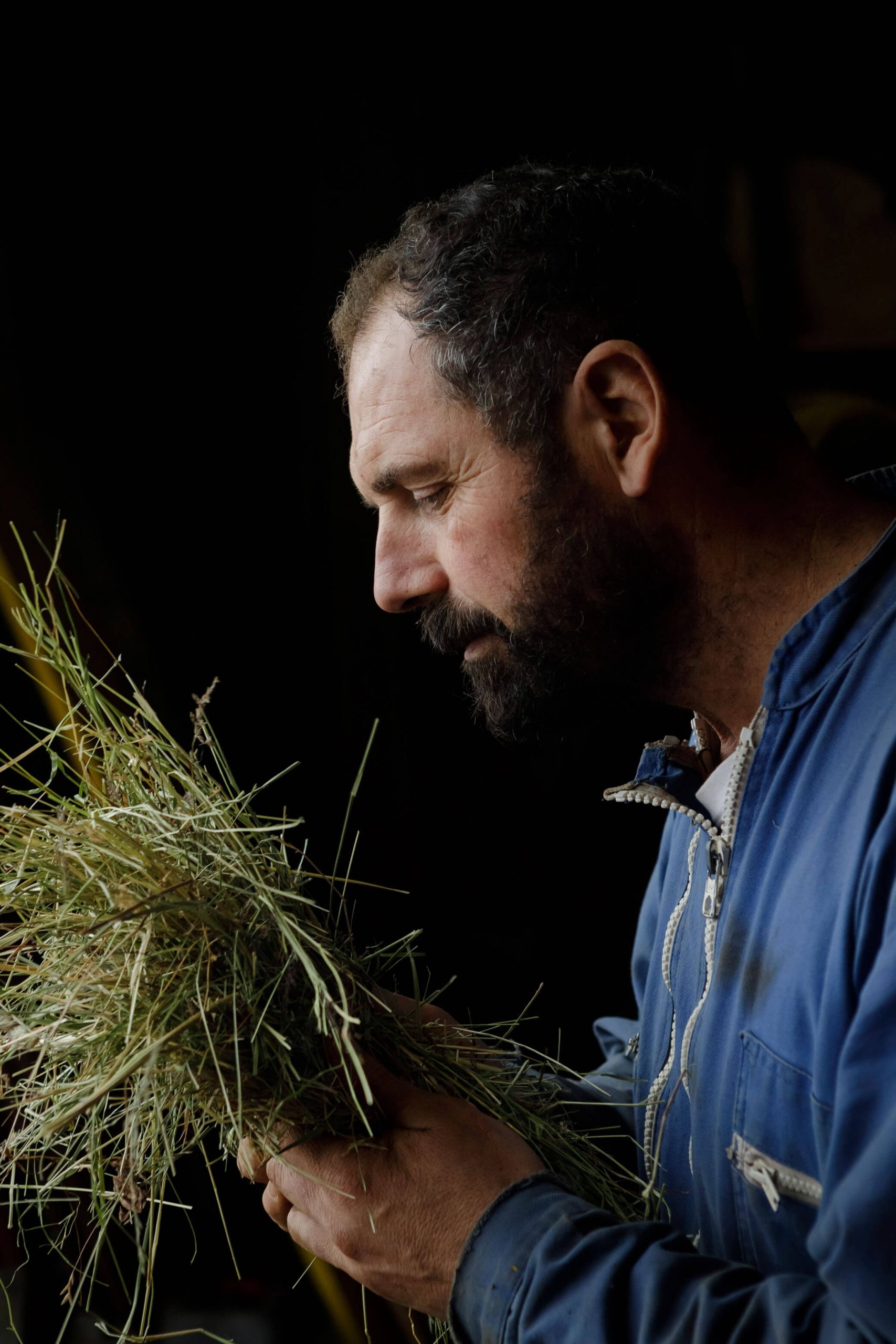 fin-gras-du-mezenc (2)