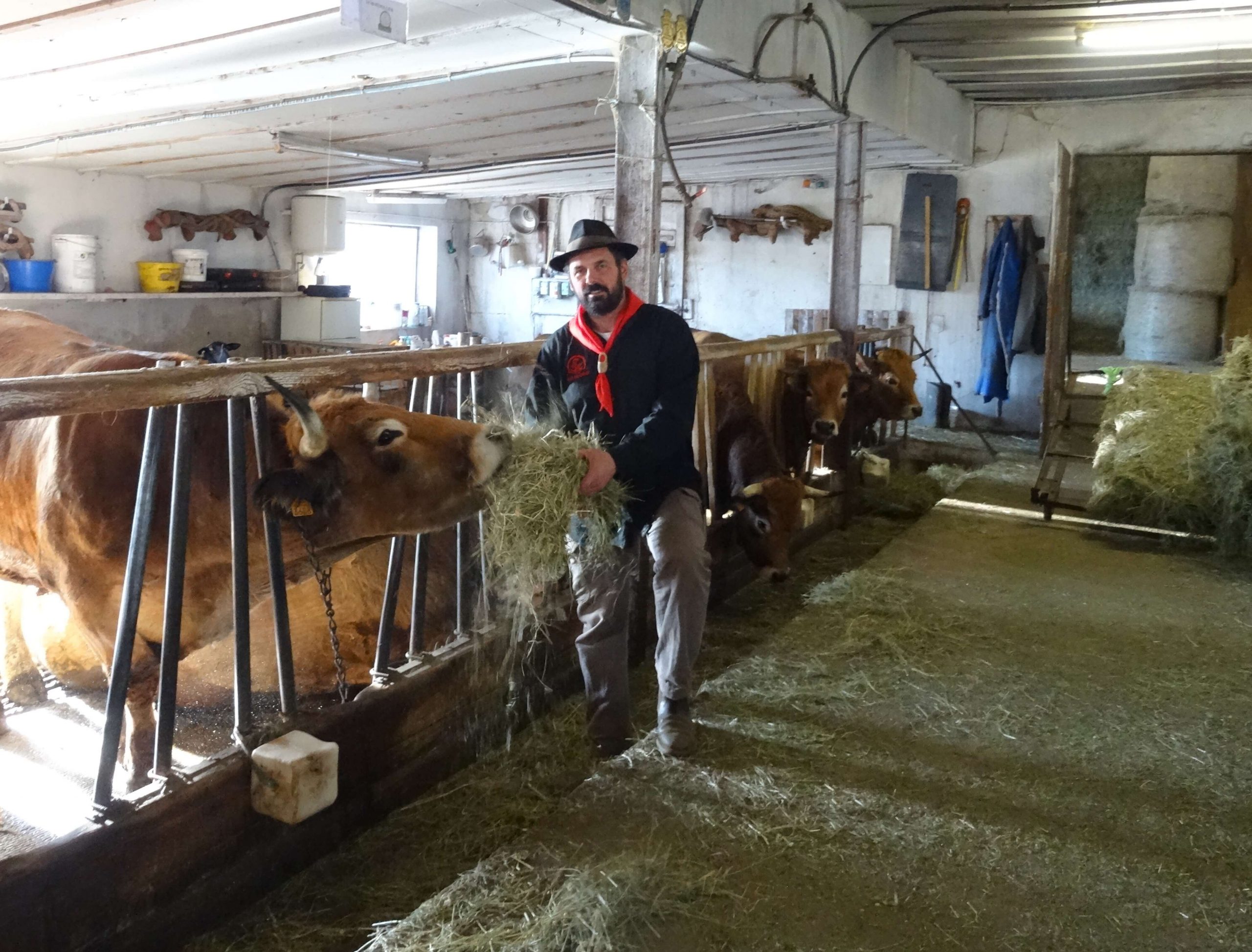 fin-gras-du-mezenc (3)