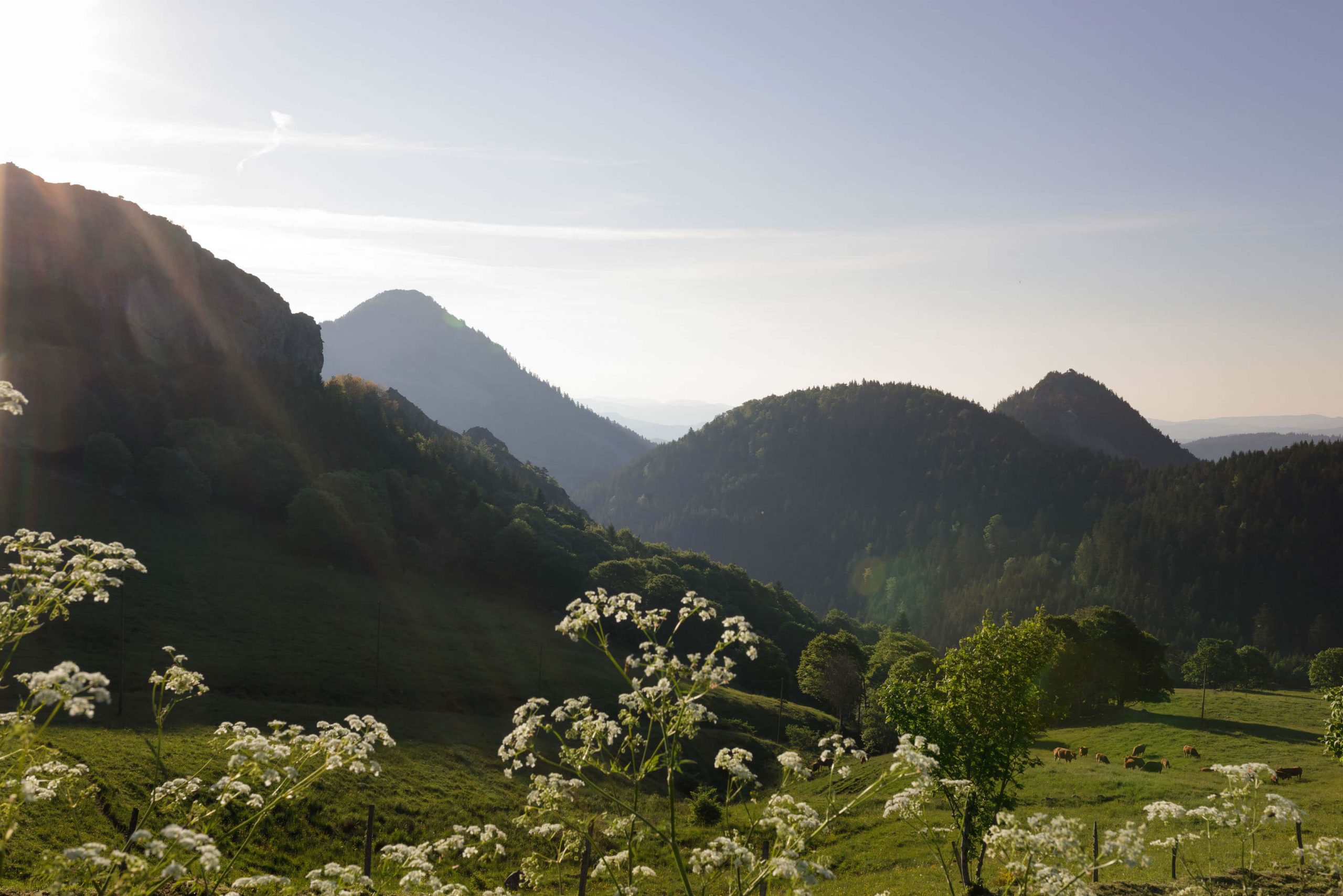 fin-gras-du-mezenc (4)