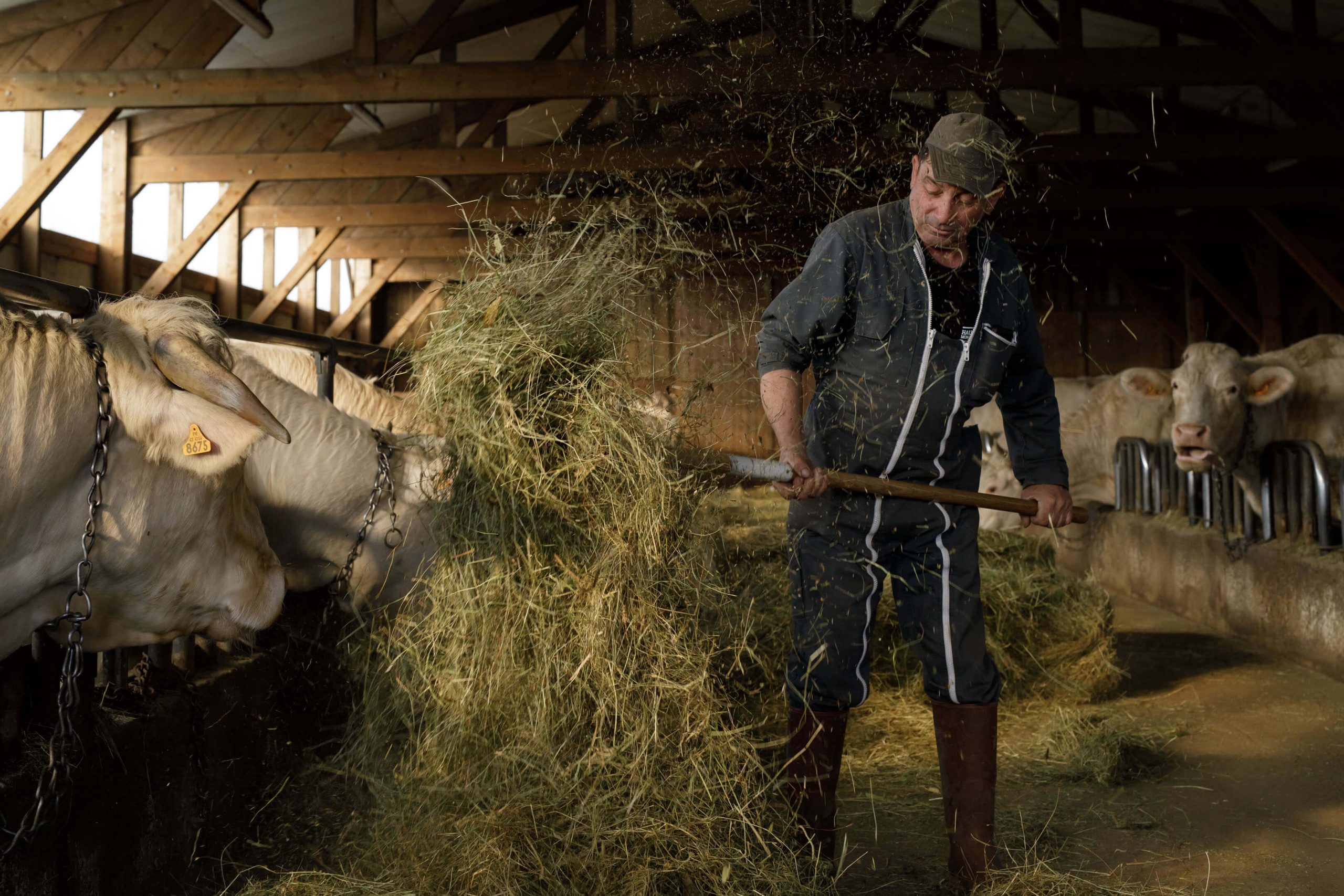 fin-gras-du-mezenc (7)