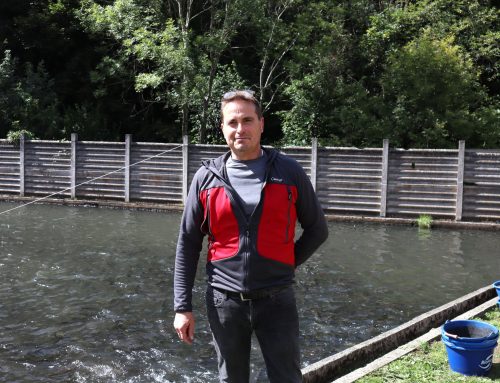 Les bonnes truites de la pisciculture du Vourzac