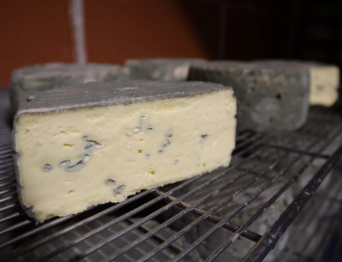 GAEC DE LA ROCHE D&rsquo;OR