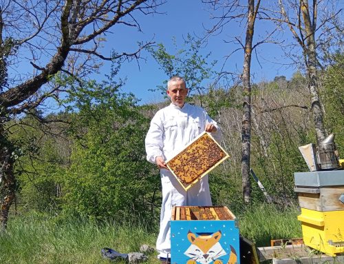 La Miélodie d&rsquo;Abeilles résonne de douceurs