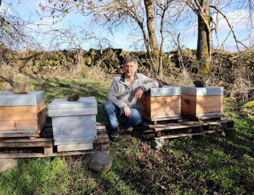 LA MIEILLERIE DES FONTAINES