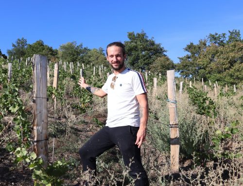 Découvrez les vendanges de Vincent Vidil dans le Velay