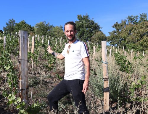 Découvrez les vendanges de Vincent Vidil dans le Velay